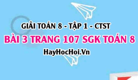 Giải bài 3 trang 107 Toán 8 Tập 1 SGK Chân trời sáng tạo